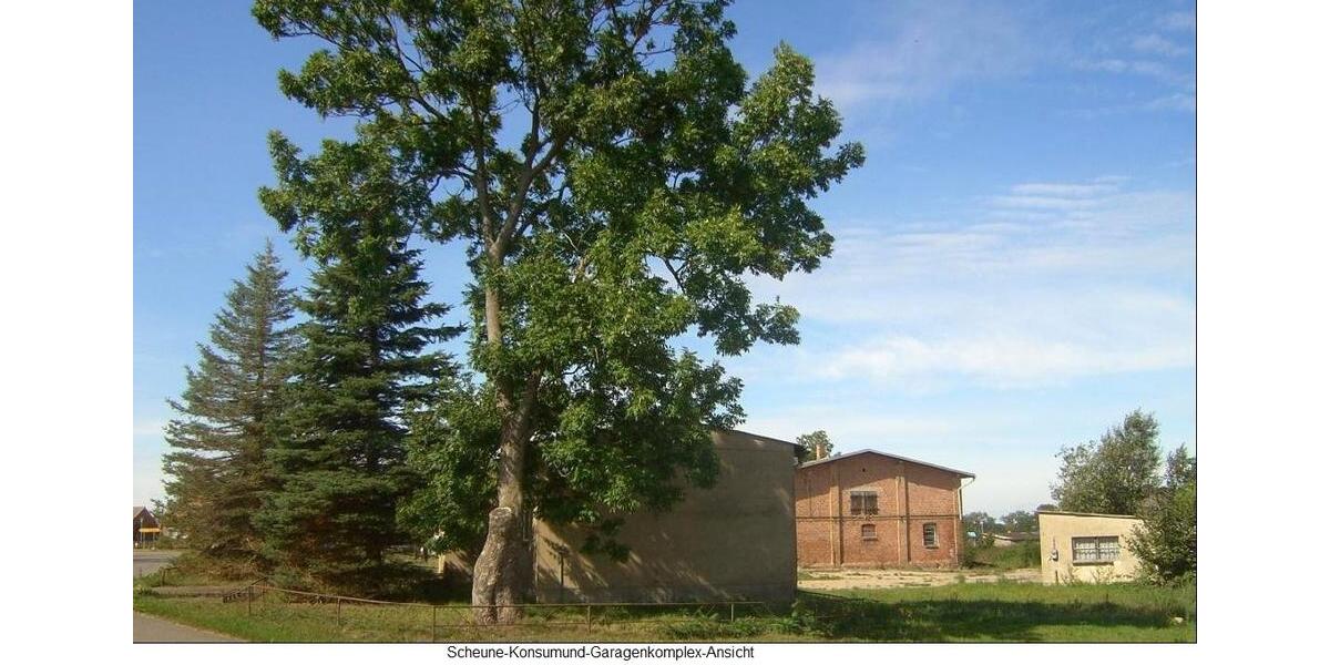 Einfamilienhaus Neetzow-Liepen Liepen - 50.000&euro; | Angebot:26882449