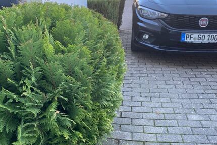 Fiat Tipo 159.000 km 6.495 &euro; Engelsbrand 75331