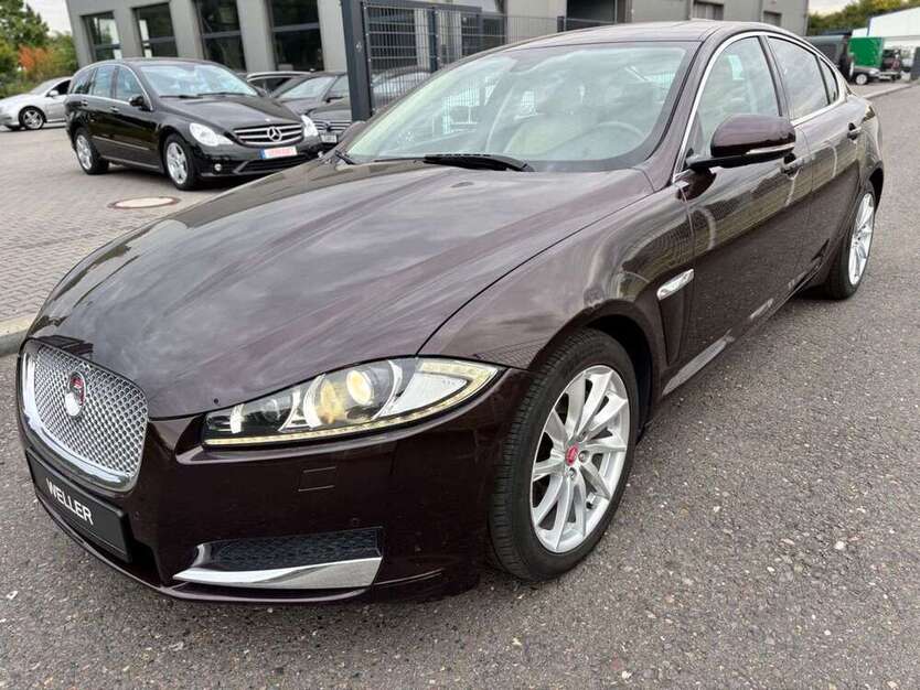 XF