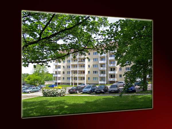 Wohnung zum Mieten in Chemnitz 300 € 60 m²