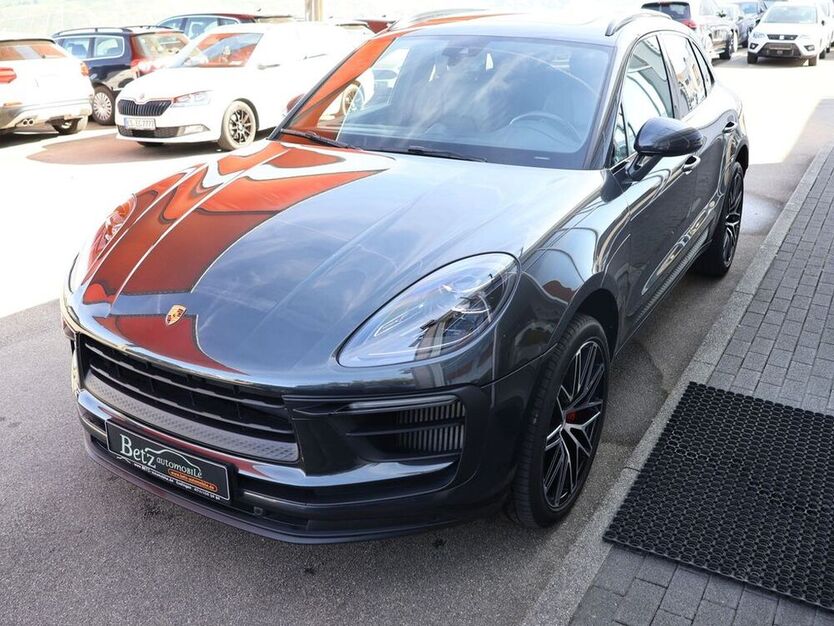 Macan