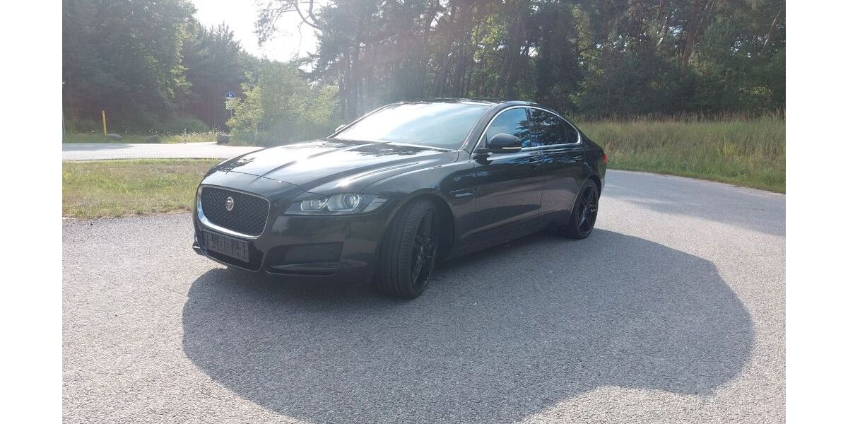 Jaguar XF 112.722 km 15.500 &euro; Kummer 19288