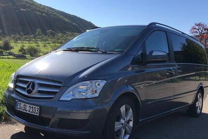 Mercedes Viano