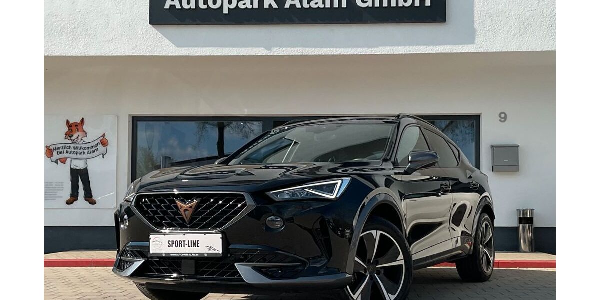 Cupra Formentor 33.900 km 25.499 &euro; Landshut 84030