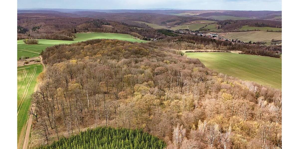 Grundstück Arnstein Stangerode - 57.000&euro; | Angebot:26246380