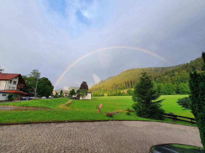 Stilvolle, geräumige und sanierte 4,5-Zimmer-Wohnung mit Balkon und Aussicht auf den Schwarzwald