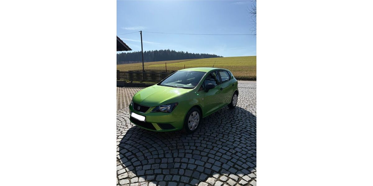 Seat Ibiza 160.000 km 5.100 &euro; Zandt 93499