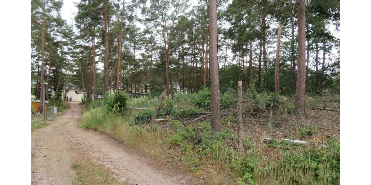 Grundstück Mittenwalde Töpchin - 75.000&euro; | Angebot:25667922