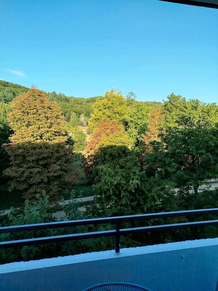 Helle 2-Zimmer-Wohnung mit Blick auf Park und Saale
