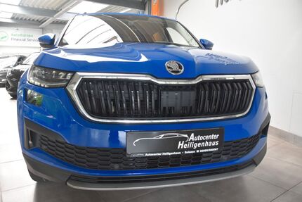 Skoda Kodiaq 183.058 km 20.280 &euro; Heiligenhaus 42579