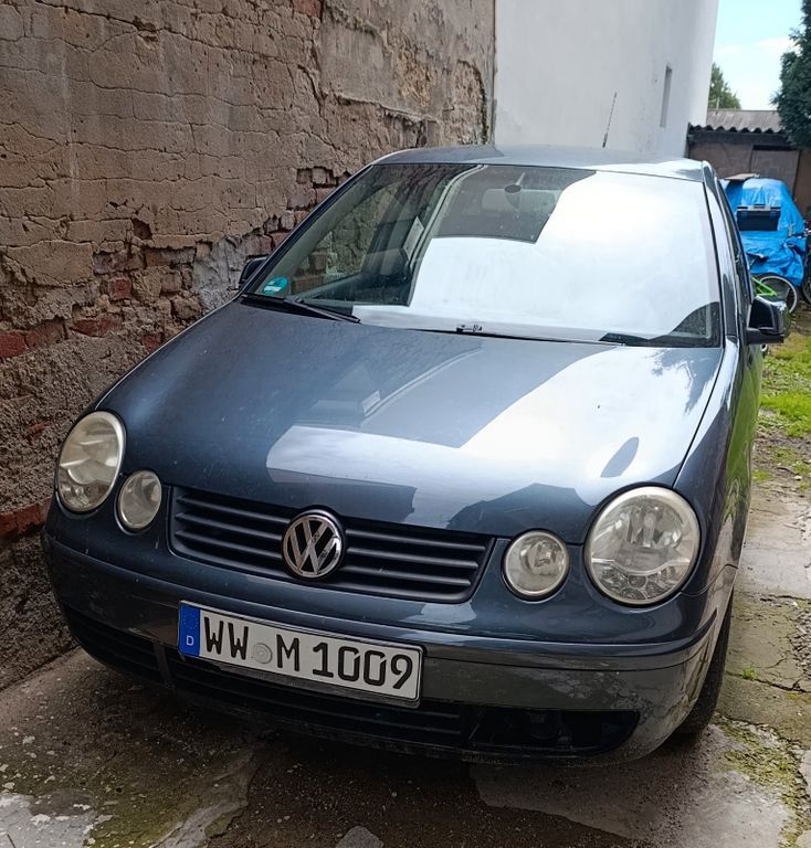 Polo