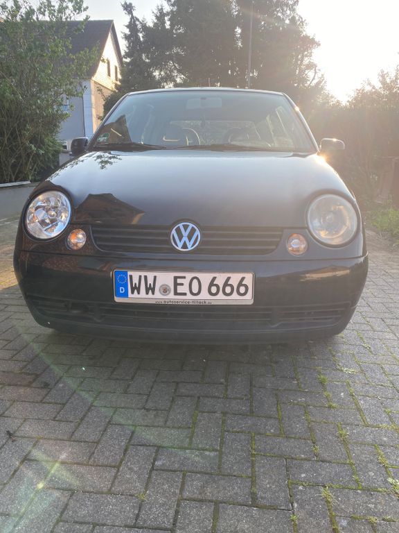 Lupo