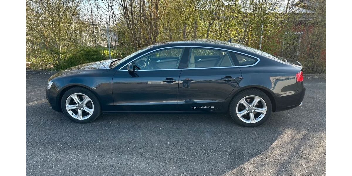 Audi A5 184.804 km 14.000 &euro; Unlingen 88527