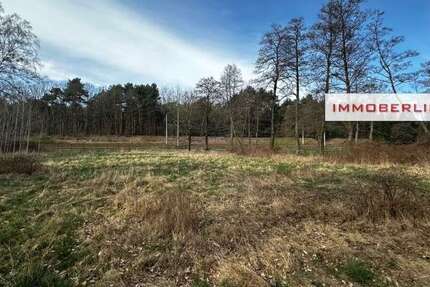 Grundstück zu verkaufen in Trebbin 129.000 € 5800 m² zimmer