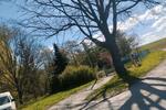 Einfamilienhaus Nossen - 6 Zimmer, 184 m&sup2;, 171.000&euro; | Angebot:26331355