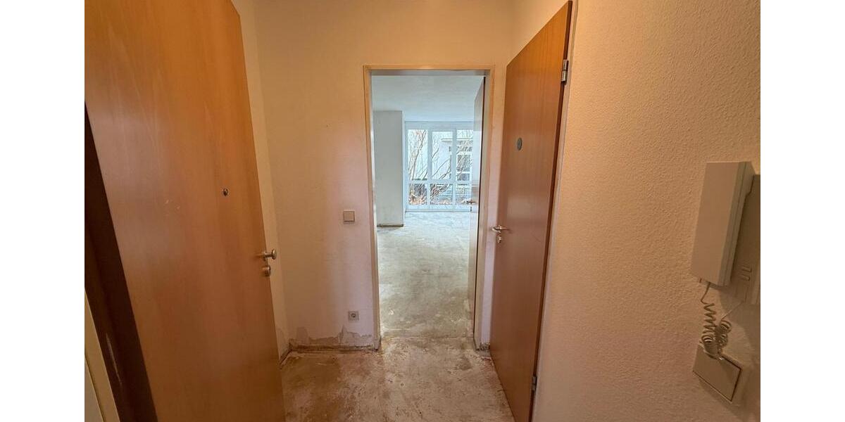 Helle 1-Raum-Wohnung in Schöneiche 1 zimmer