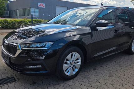 Skoda Octavia 55.600 km 20.999 &euro; Garbsen bei Hannover 30827