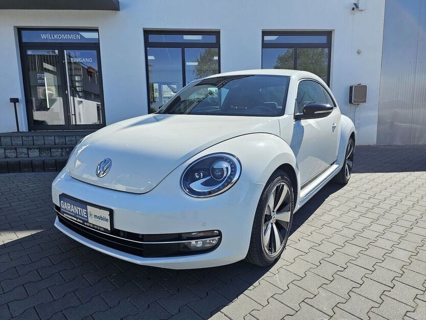 Beetle