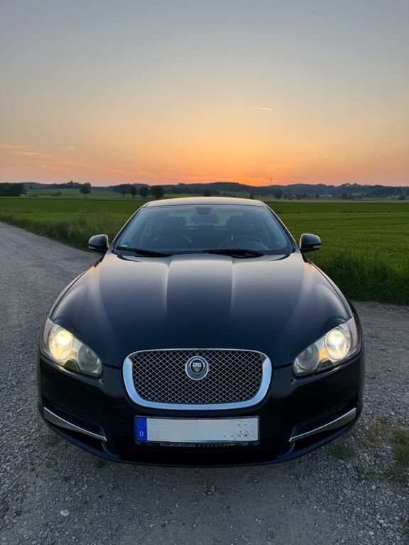 XF