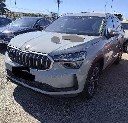 Skoda Kodiaq 29.595 km 43.980 &euro; Rüsselsheim 65428