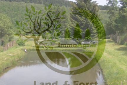 Grundstück in dietzhölztal 39.900 € 3181 m² zimmer