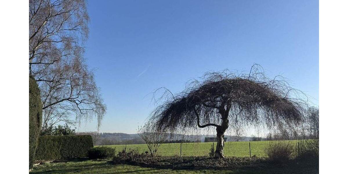 Großzügiges Wohnhaus mit ELW in bester Feldrandlage von Belm 8 zimmer