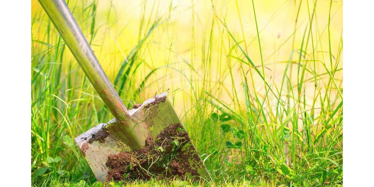 Leingarten: - Baugelegenheit - Großzügiges Abrissgrundstück in guter Lage! zimmer