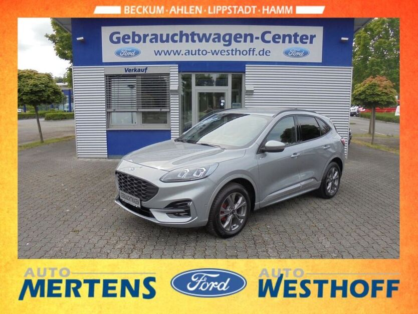 Kuga