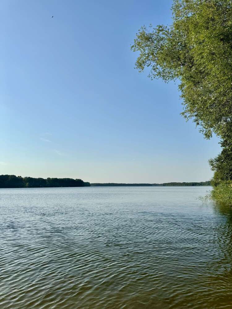 Wohnung zum Mieten in Neustrelitz 560 € 80 m²
