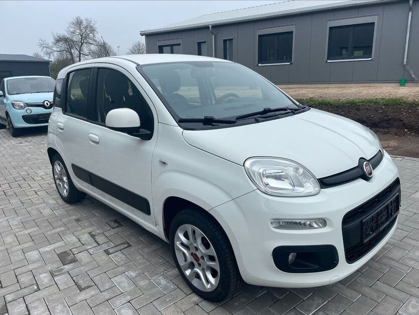 Panda