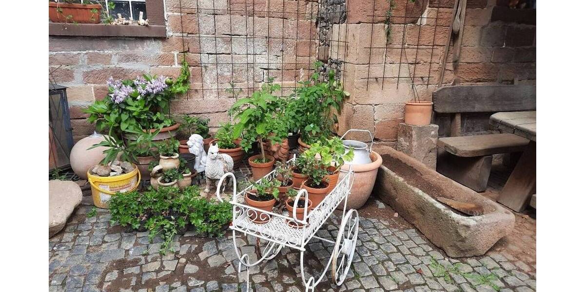 Bauernhaus, Landhaus Wächtersbach Leisenwald - 495.000&euro; | Angebot:25844886