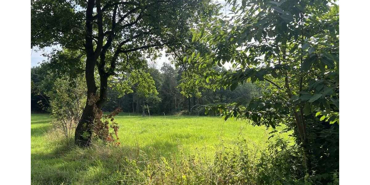 Grundstück Rehburg-Loccum Loccum - 140.000&euro; | Angebot:16804500