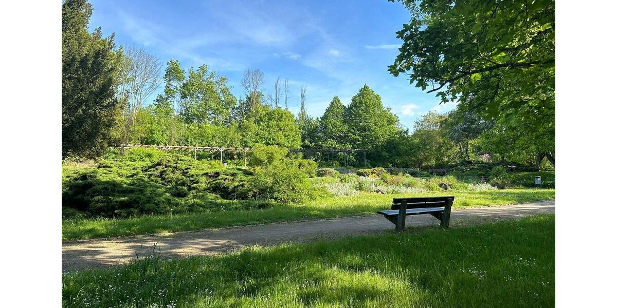 Etagenwohnung Naumburg (Saale) - 1 Zimmer, 41 m&sup2;, 550&euro; | Angebot:26586288