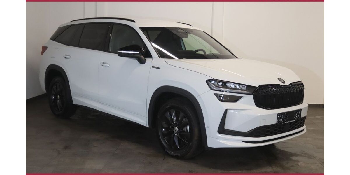 Skoda Kodiaq 29.900 km 42.800 &euro; Bebra 36179