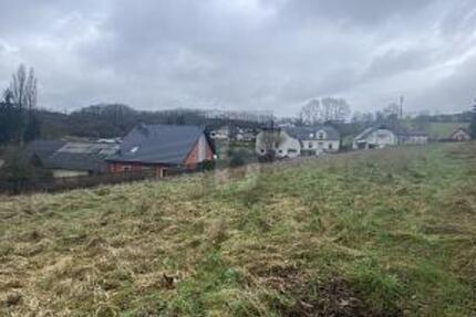 IHR PLATZ FÜR DAS EIGENHEIM  BAUGRUNDSTÜCK IN DER SÜDEIFEL - Grundstück Utscheid | Angebot:25591570