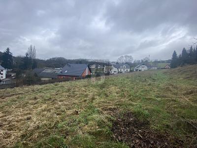 IHR PLATZ FÜR DAS EIGENHEIM  BAUGRUNDSTÜCK IN DER SÜDEIFEL - Grundstück Utscheid | Angebot:25591570