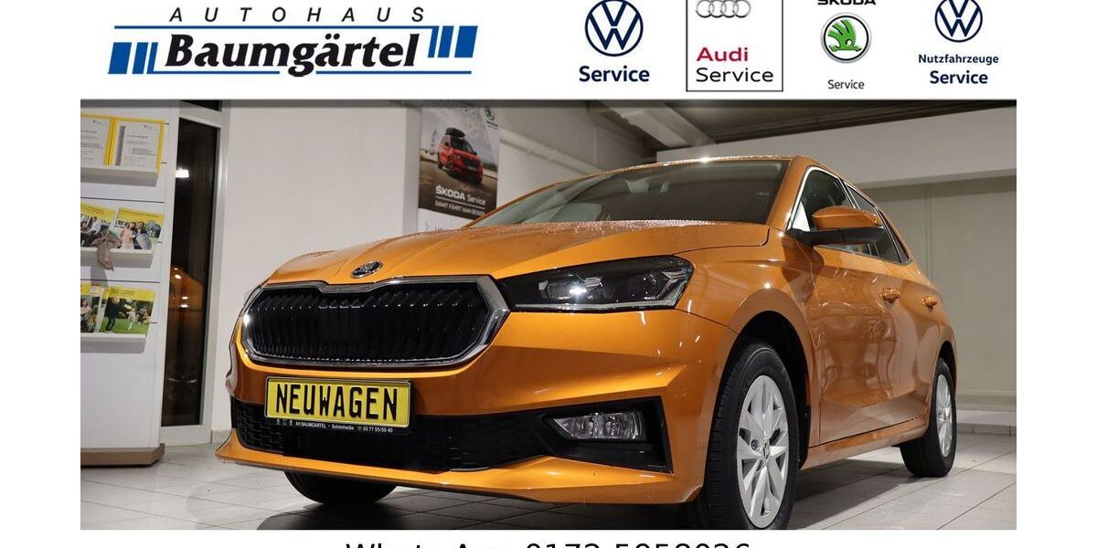 Skoda Fabia 550 km 21.950 € Schönheide 08304
