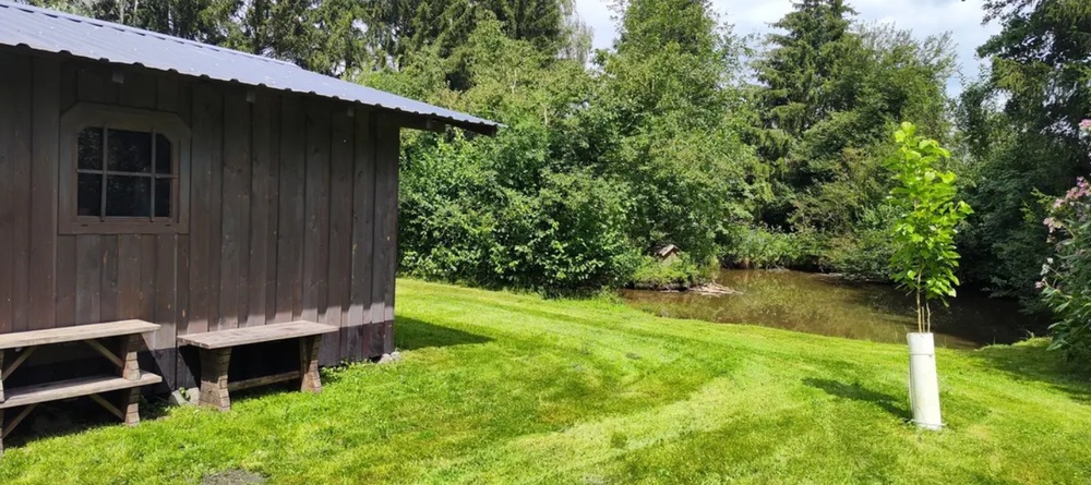 Naturgrundstück mit Weiher, Wald-/Freizeitgrundstück in ruhiger Lage - Grundstück Jettingen-Scheppach | Angebot:25803980