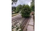 Bungalow Blankenburg (Harz) - 3.5 Zimmer, 62 m&sup2;, 69.900&euro; | Angebot:12050872