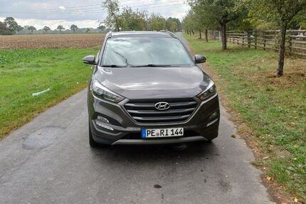 Hyundai TUCSON 59.000 km 19.500 &euro; Peine 31226
