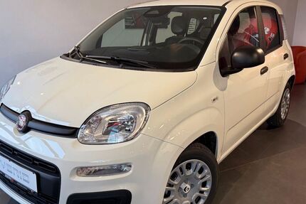 Fiat Panda 1.500 km 14.990 &euro; Hartheim am Rhein 79258
