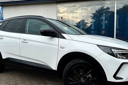 Opel Grandland (X) 19.756 km 24.895 € Brake 26919