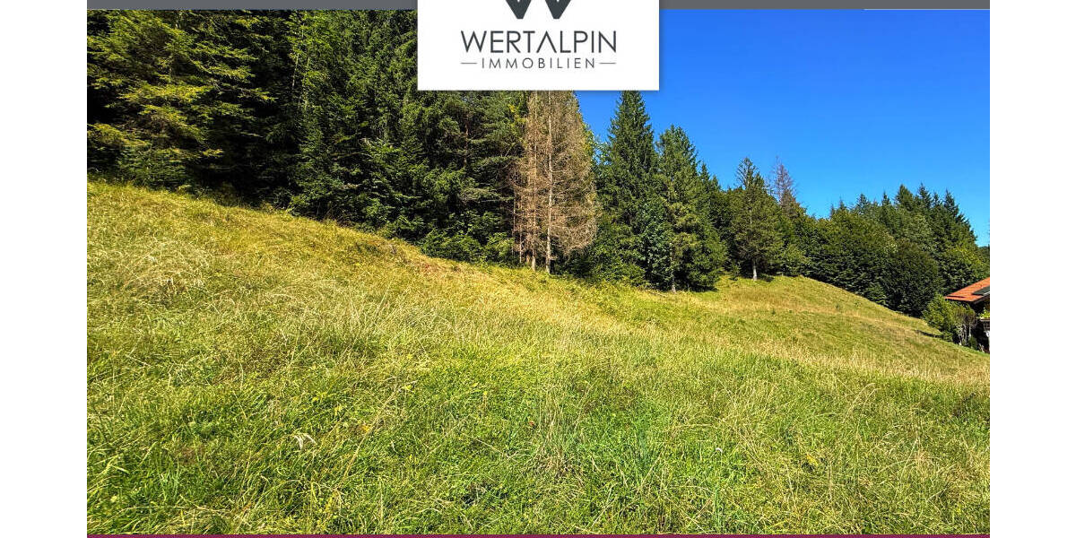 Wallgau: Grundstück - ca. 2.917 m² - mit Altbestand in naturnaher Lage mit hohem Freizeitwert! zimmer