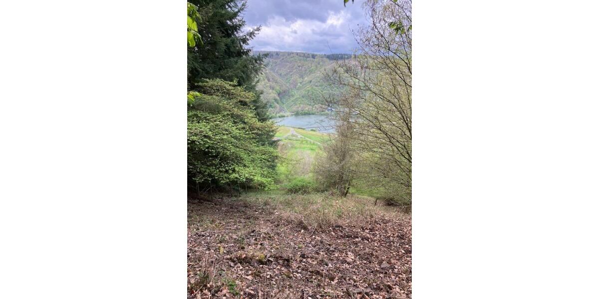 Grundstück Bruttig-Fankel Fankel - 5.950&euro; | Angebot:17639442