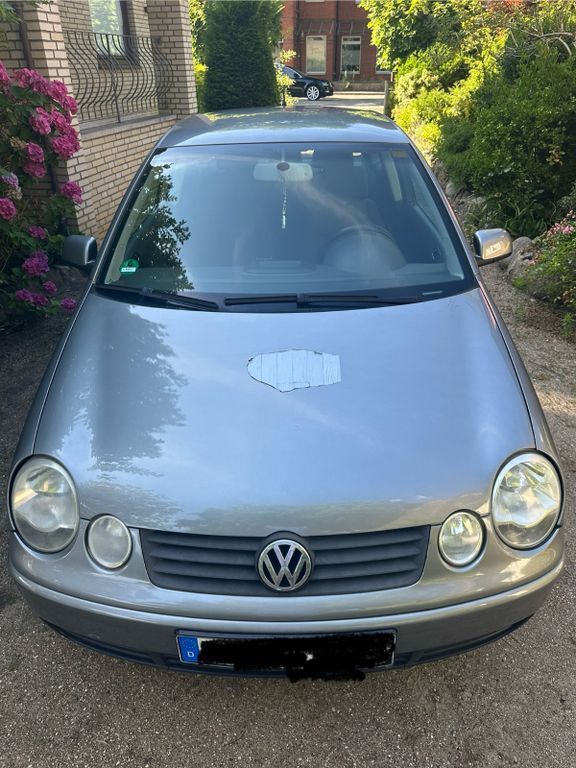 Polo