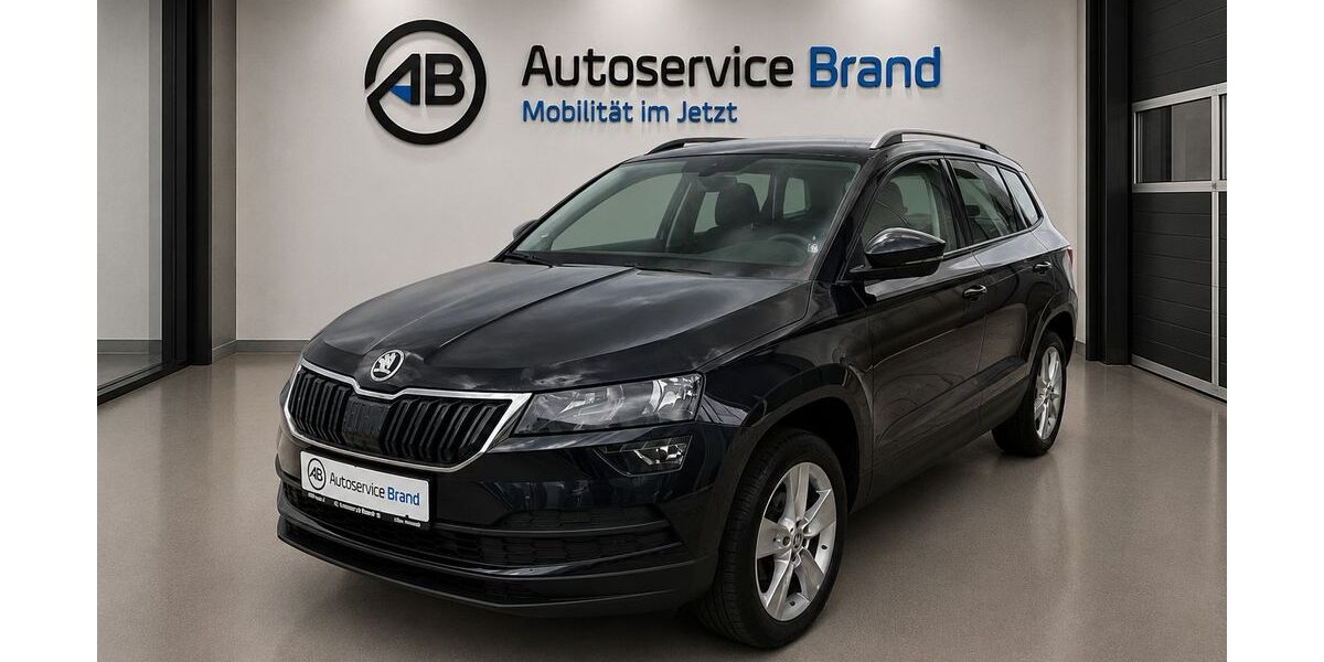 Skoda Karoq 64.100 km 20.400 &euro; Hemsbünde 27386