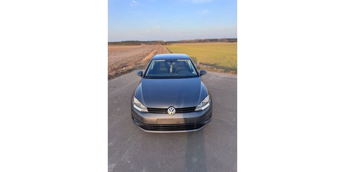 VW Golf 273.000 km 8.000 &euro; Pasewalk 17309