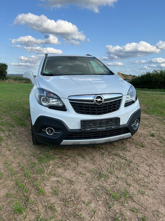 Mokka