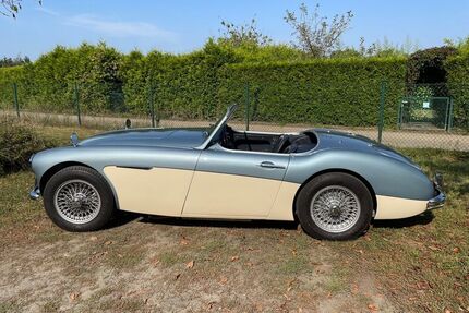 Austin Healey Andere