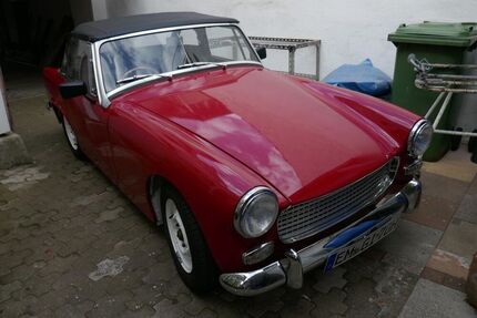 Austin Healey Andere